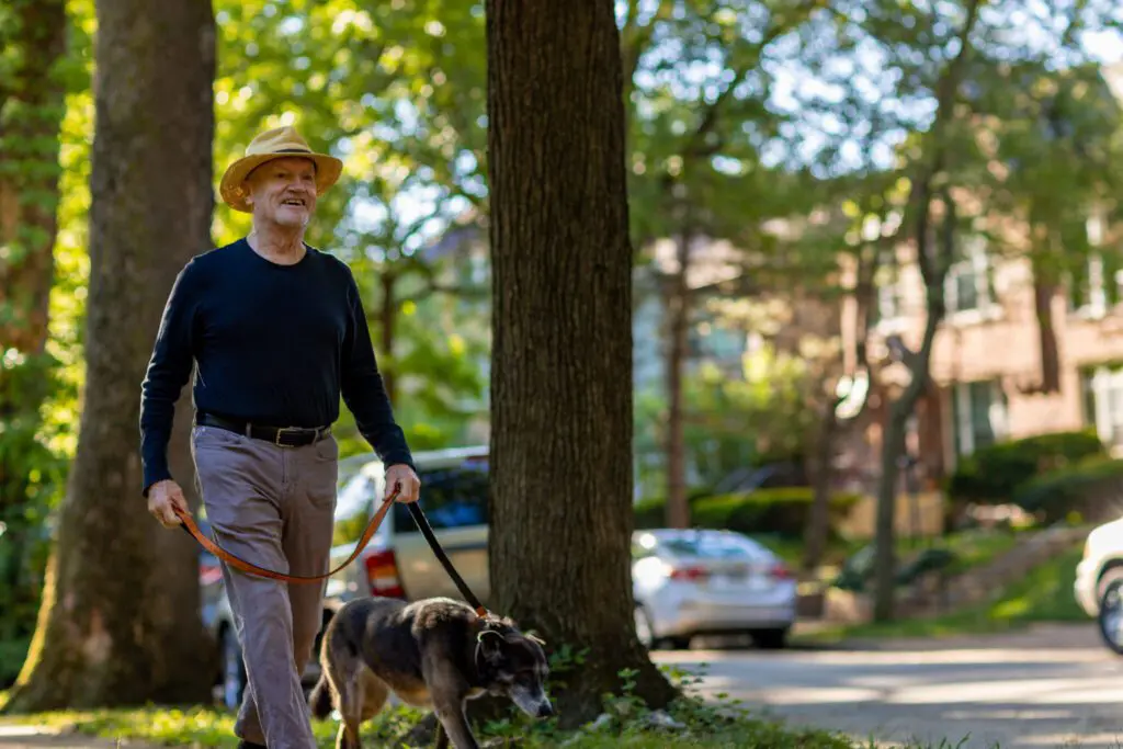 Senior man walking his dog in Clayton